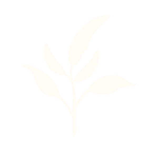 Amarante